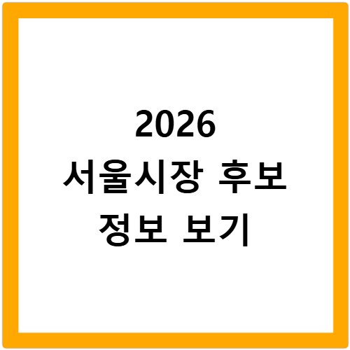 2026 지방선거 서울시장 후보 출마 예상 명단