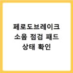 페로도브레이크 소음 점검 패드 상태 확인